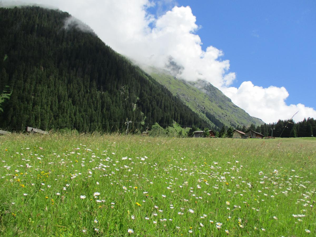 Hotel Silvretta 加尔盖伦 外观 照片